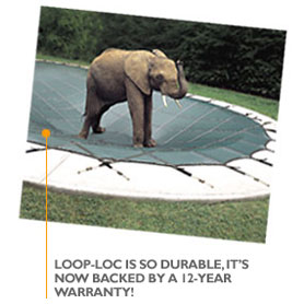 Supports An Elephant... Really